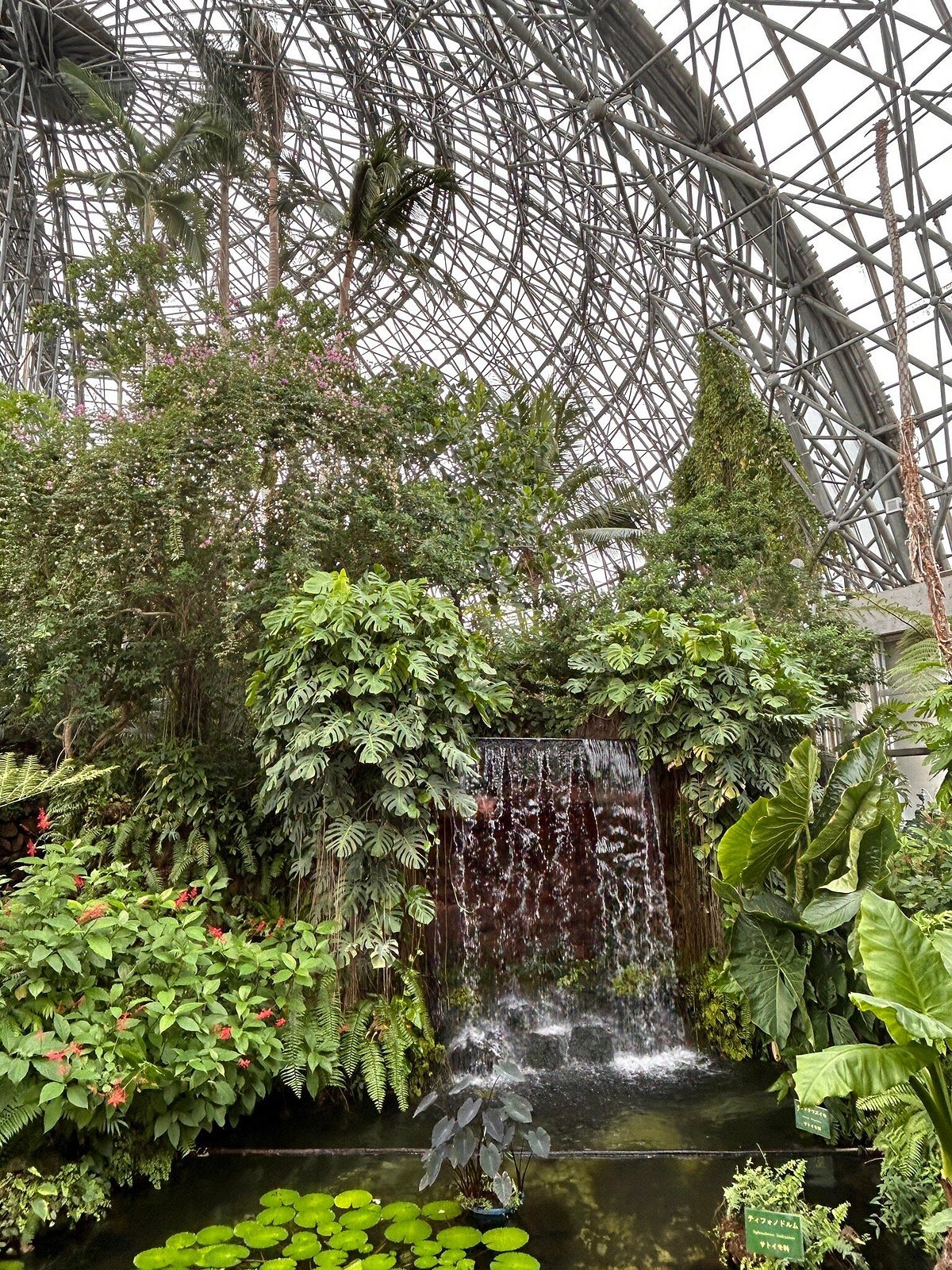 🌳 와카야마현 식물공원 녹화센터 이미지 7